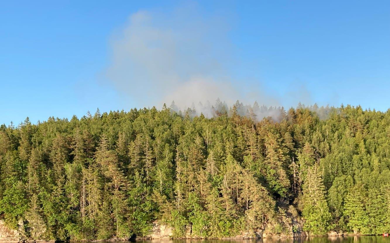 Både brandbilar och helikoptrar deltog i släckningsarbetet. 