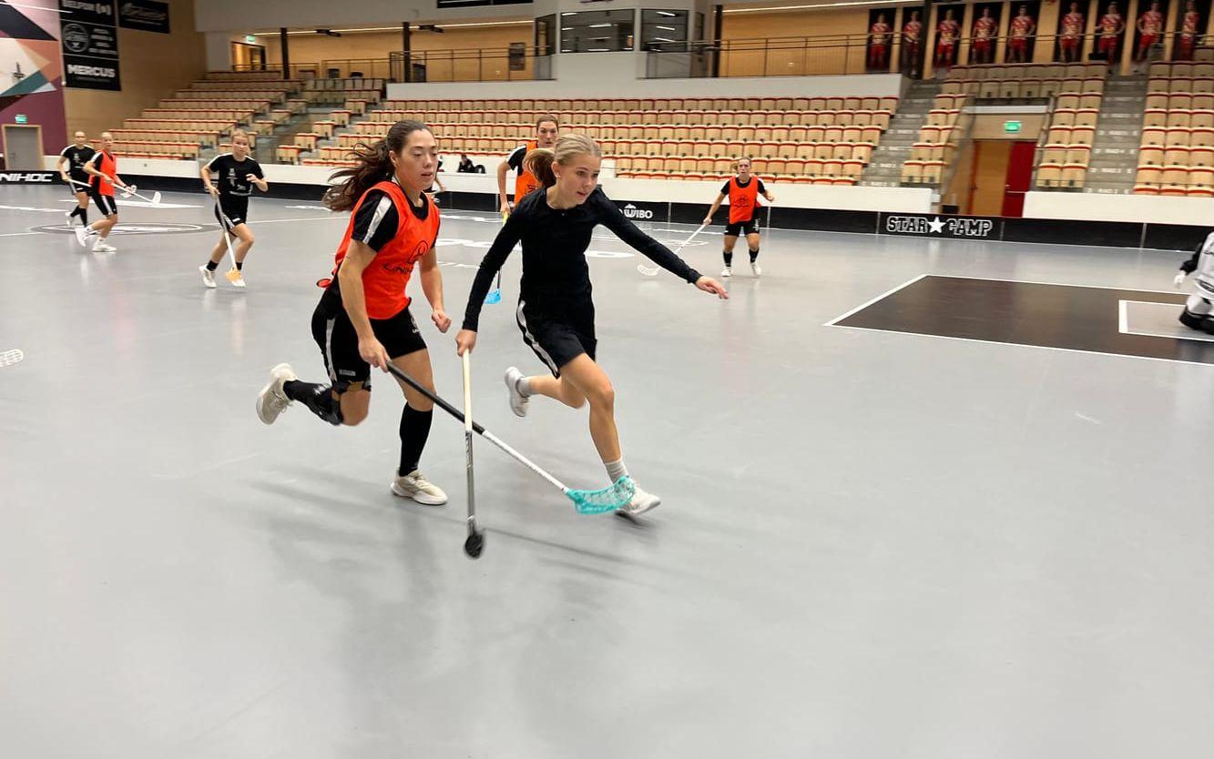 Premiärmatchen blir på hemmaplan mot Täby under lördagen. Herrarnas första match spelas på fredagen.