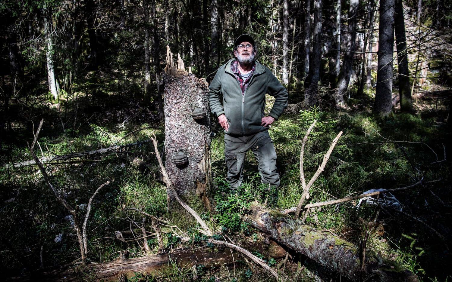 Michael Nilsson är aktiv i Naturskyddsföreningen lokalt. Eftersom föreningen ansåg att avverkningen hotade arter började de driva ärendet.