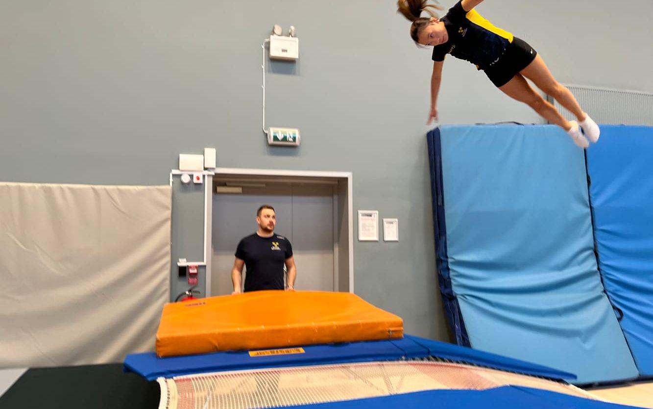 Trampolinsporten består av tre olika grenar: individuell trampolin, synkron trampolin och dubbel minitrampolin (DMT).