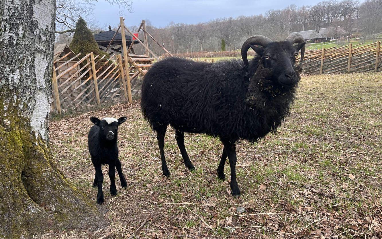 Dotter och mamma. 