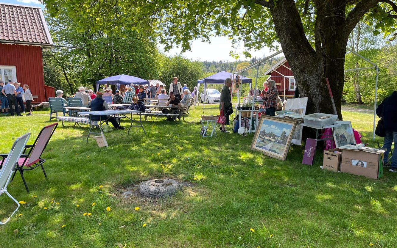 Solen sken över vårmarknaden.