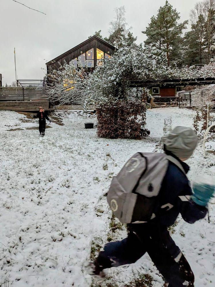 Roligt i snön i Pottebo!